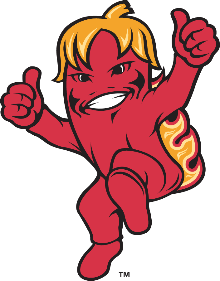 Louisiana Ragin Cajuns 2000-2006 Mascot Logo v4 diy iron on heat transfer